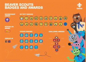 Beaver Badges