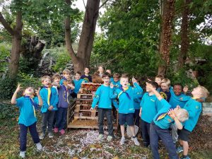 River Beavers - Bug Hotel